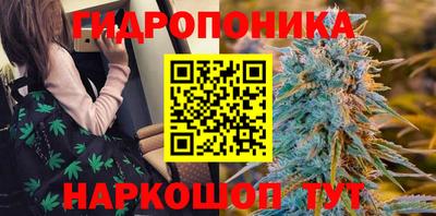 бошки Гусь-Хрустальный