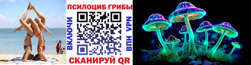 Галлюциногенные грибы Psilocybe  Мичуринск 