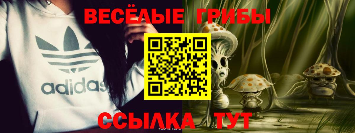 Псилоцибиновые грибы ЛСД Мичуринск