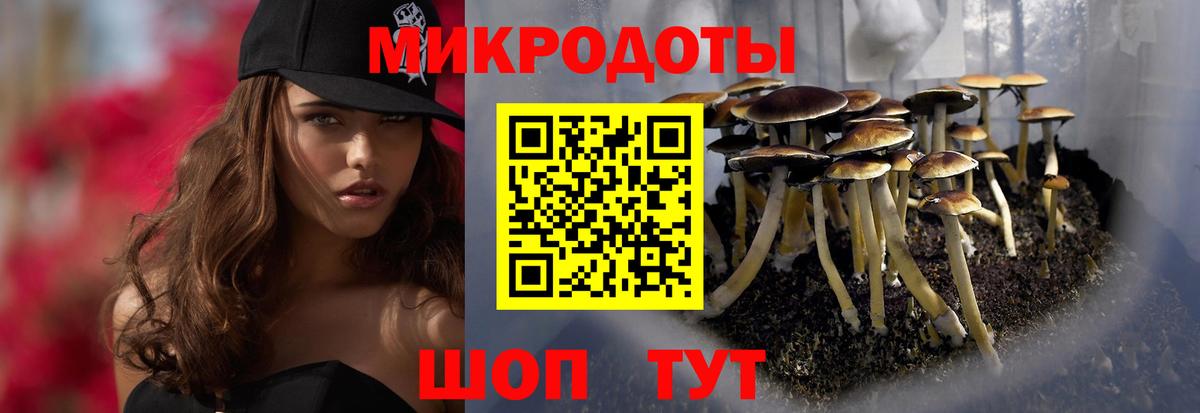 Мичуринск  Псилоцибиновые грибы Magic Shrooms  Вход с VPN 